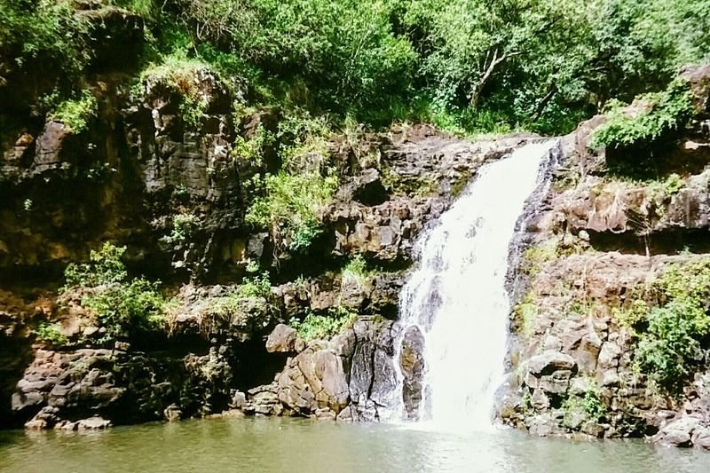 Waimea Falls and swimming pool in Waimea Valley on Oahu's North Shore