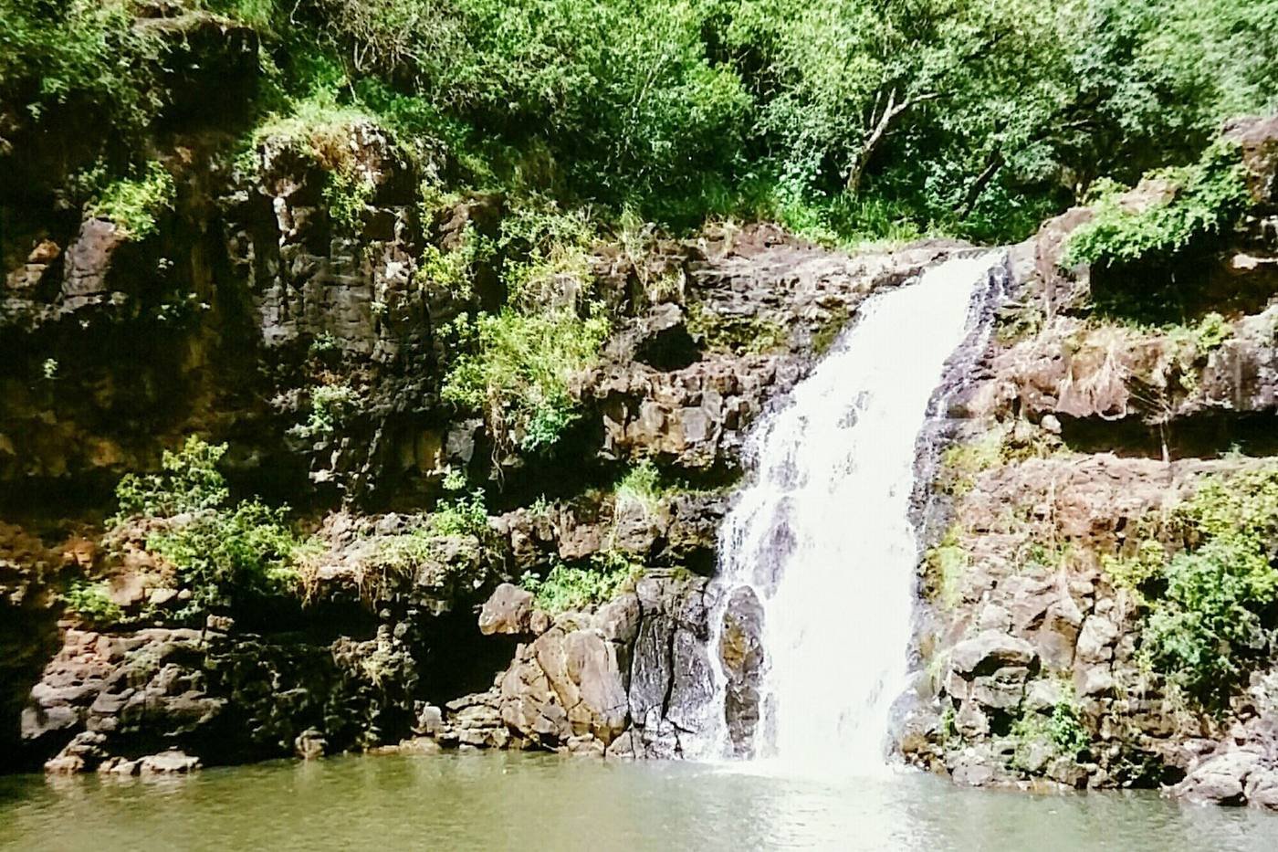 Waimea Falls and swimming pool in Waimea Valley on Oahu's North Shore